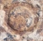 �|���s�ʐ���